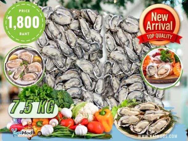 หอยนางรมเกาหลี แช่แข็ง