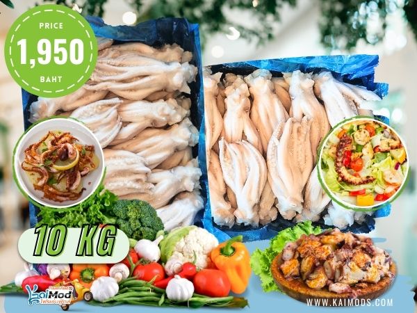 หนวดหมึกอาเจน ใหญ่