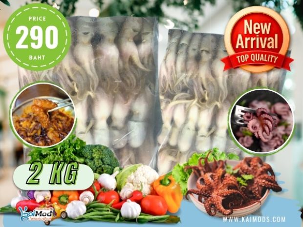 ปลาหมึกสายแช่แข็ง