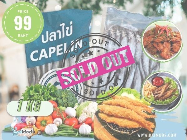 ปลาไข่ CAPELIN