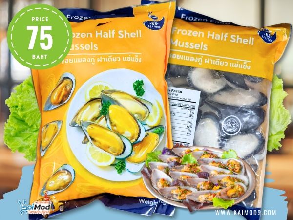 หอยเชลล์ฝาเดียว KS