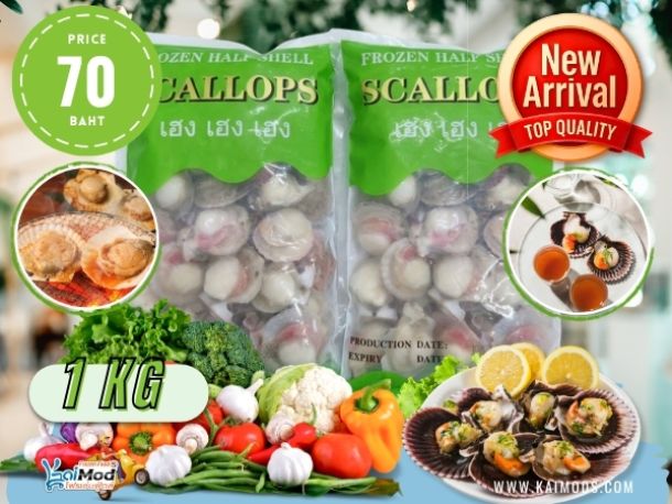 หอยเชลล์ฝาเดียว แช่แข็ง