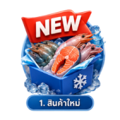 สินค้าใหม่