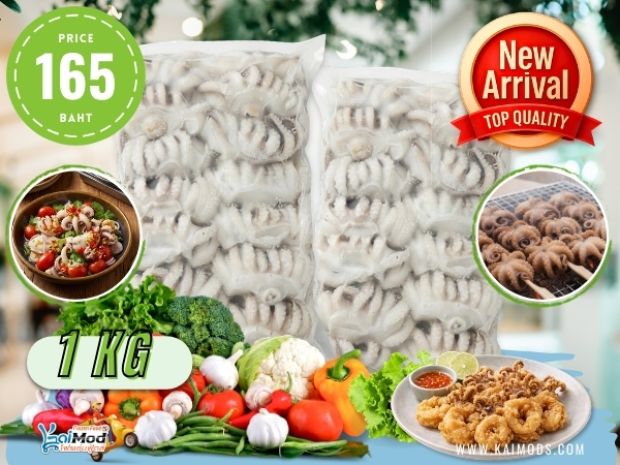 หัวหมึกกระดอง PFP