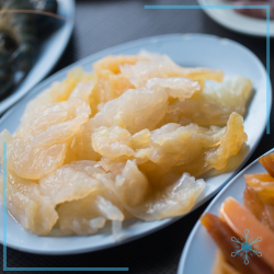 เนื้อแมงกะพรุน แมงกะพรุนถัง