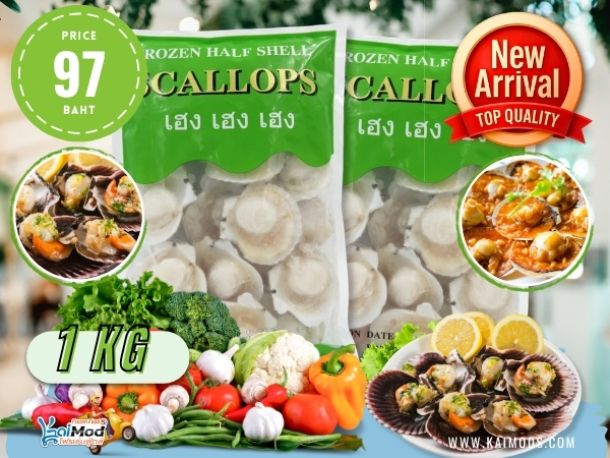 หอยเชลล์ญี่ปุ่นฝาขาว แช่แข็ง