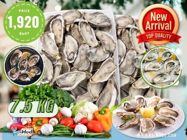 หอยนางรมเกาหลี แช่แข็ง