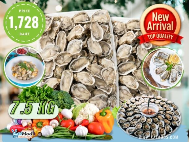 หอยนางรมเกาหลี แช่แข็ง