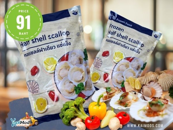 หอยเชลล์ฝาเดียว