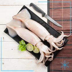 ปลาหมึกแช่แข็ง